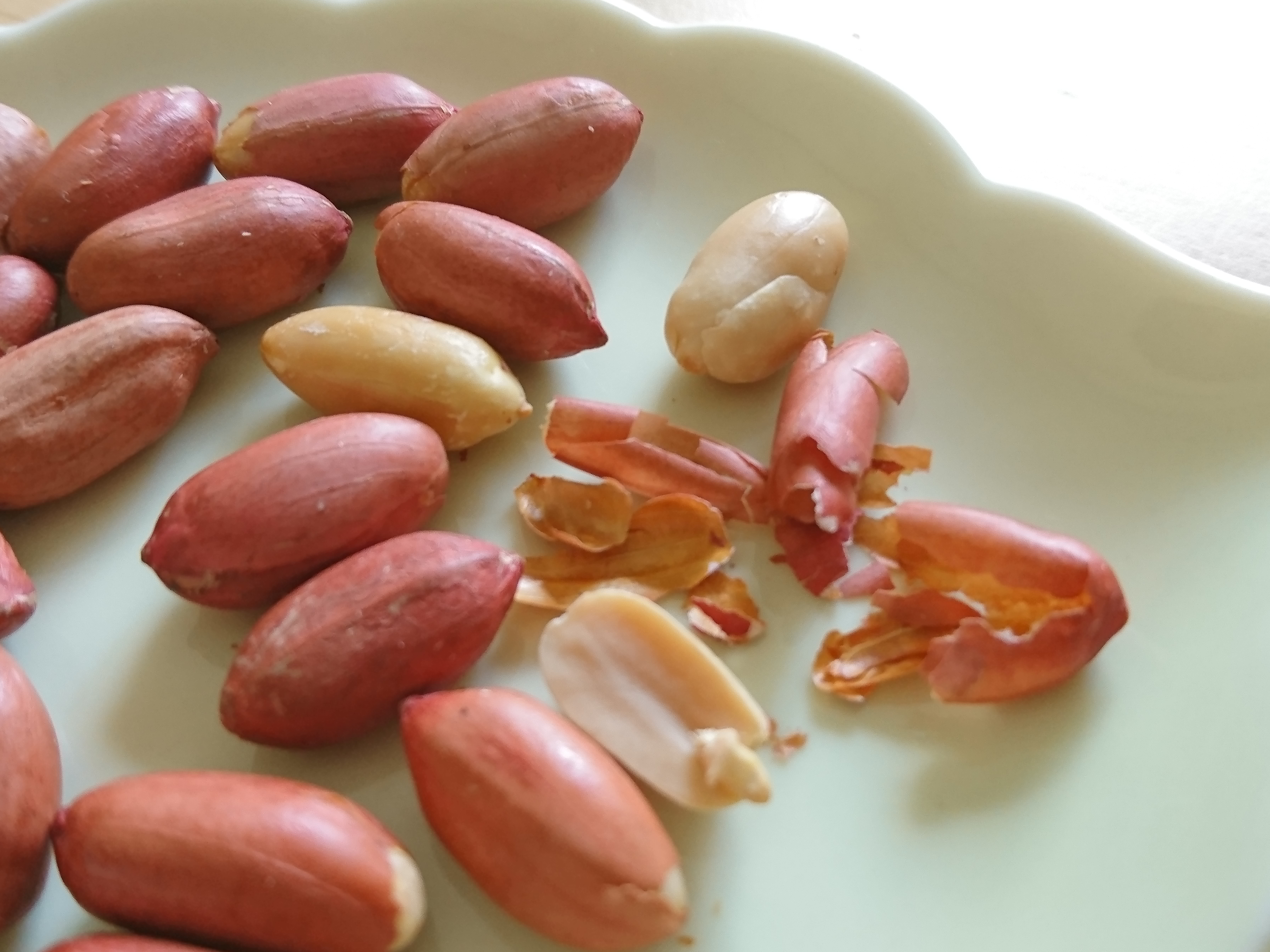 ピーナッツの薄皮は食べるべき 最強ポリフェノールが含まれている Yuki S Small Kitchen