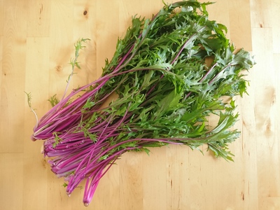 サラダに最適 目にも良い 赤い茎が美しい紫水菜 Yuki S Small Kitchen