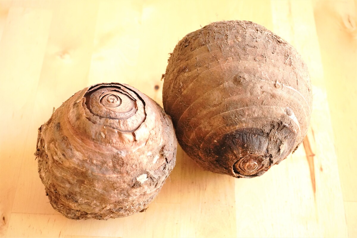 食べやすい里芋 セレベス 赤芽芋 の特徴と食べ方 粘りが少なく調理しやすい Yuki S Small Kitchen